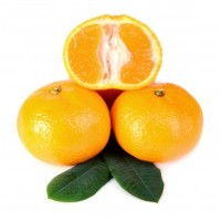 Huile essentielle de Néroli : propriétés de Citrus aurantium var.amara -  Pharma GDD